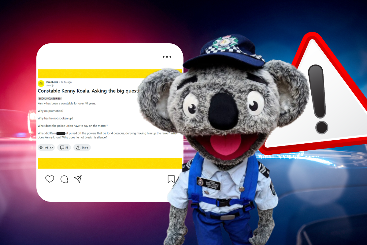 Constable Kenny the Koala speaks out following investigation into his career… image