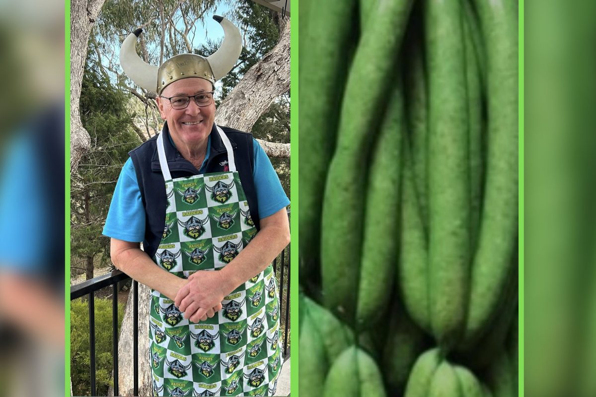 Green Sausages Are Back At Lindbeck’s Butchers! image