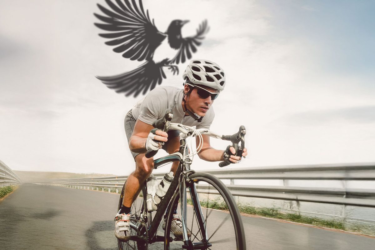 The Spots To Avoid If You Don’t Want To Be Swooped image