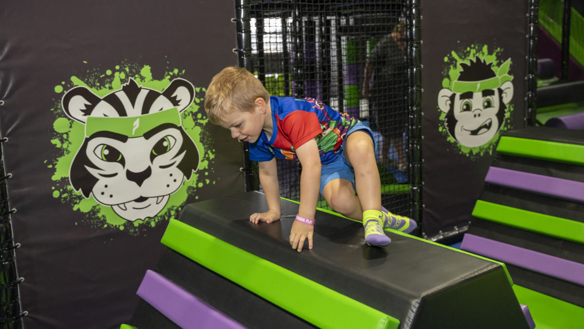 Has Ninja Warrior Made its Way to Canberra? image