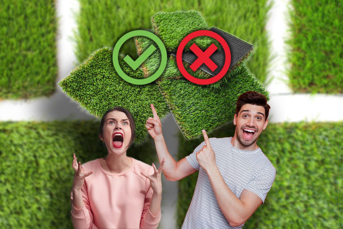 How Does Canberra Feel About Fake Lawn? image