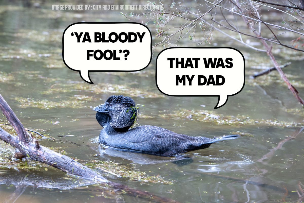 A RIPPER UPDATE image