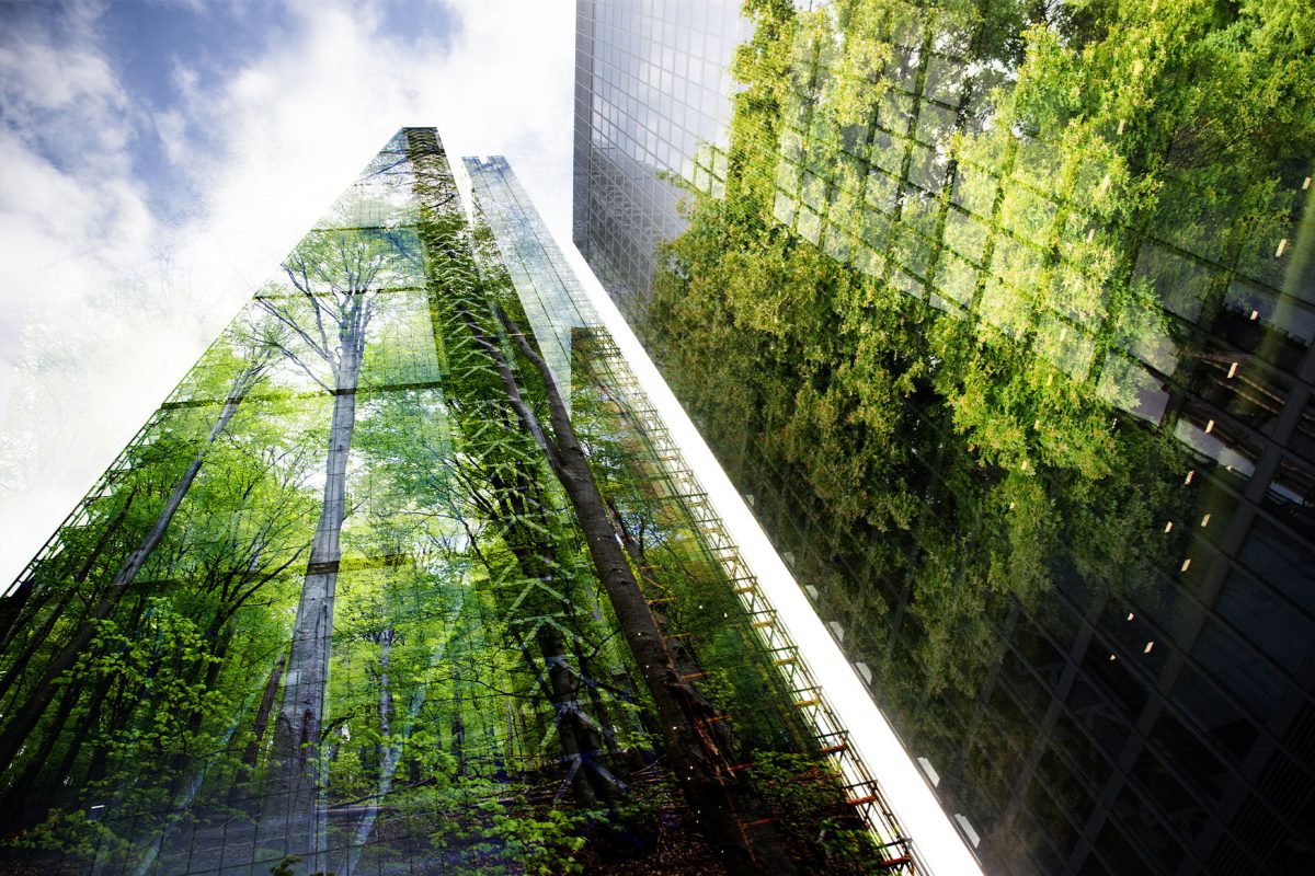 Where Does Canberra Sit on the Green City Index? image