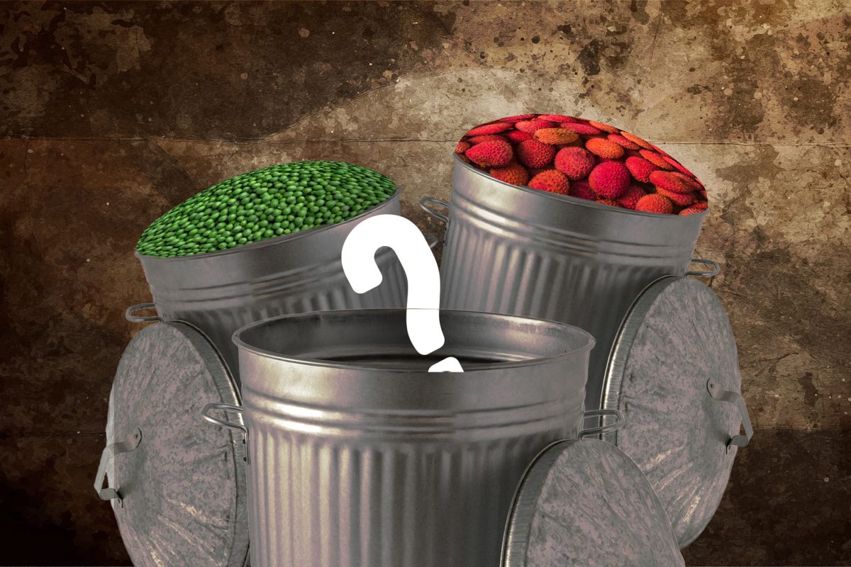 What Are Canberrans Putting In The Metaphorical Bin? image